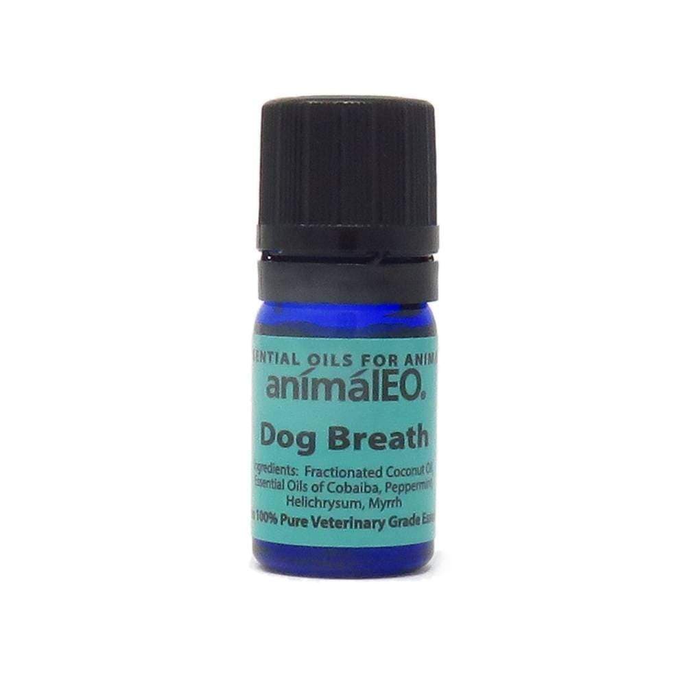 dog breath freshener | freshen dog's breath with essential oils