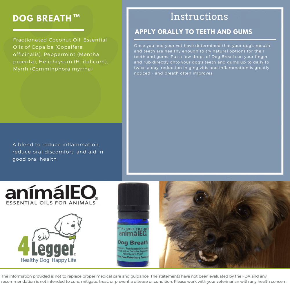 Dog Breath to Freshen Breath Clean Teeth and Gums animalEO 4 Legger