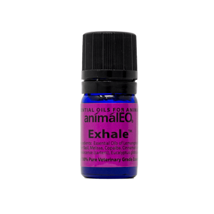 Exhale pet safe essential oil blend by animalEO for respiratory support