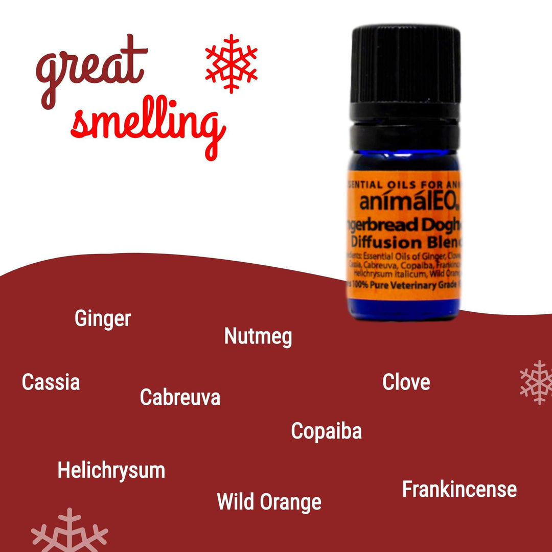 Gingerbread Doghouse™ Diffusion Blend by animalEO - Great Smelling Pet Safe Essential Oil