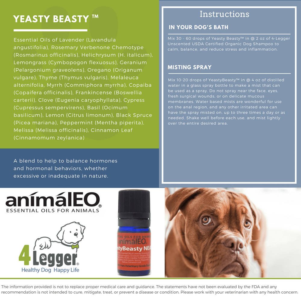 Support your dog's yeast infection with pet safe essential oils
