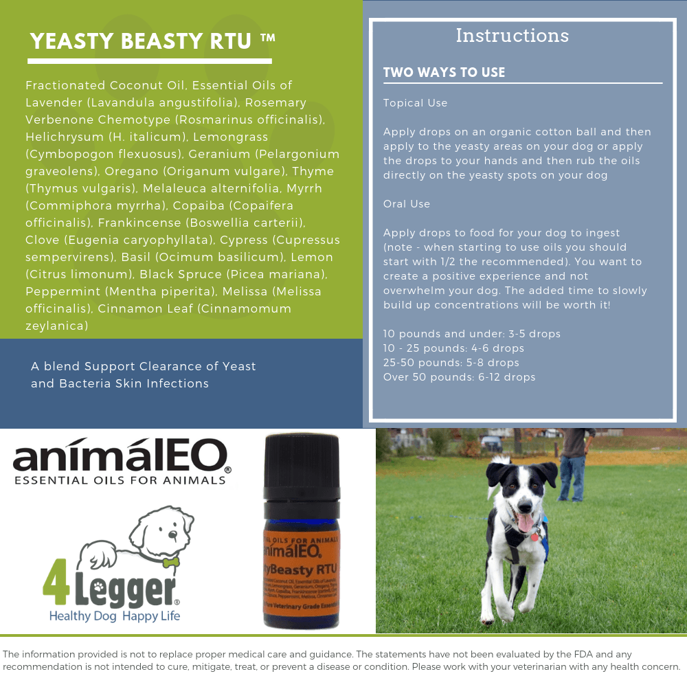 animalEO Essential Oil Blends by animalEO 5 mL YeastyBeasty™ RTU to Support Clearance of Yeast and Bacteria Skin Infections, Itching and Promotion of Dermal Comfort by animalEO®