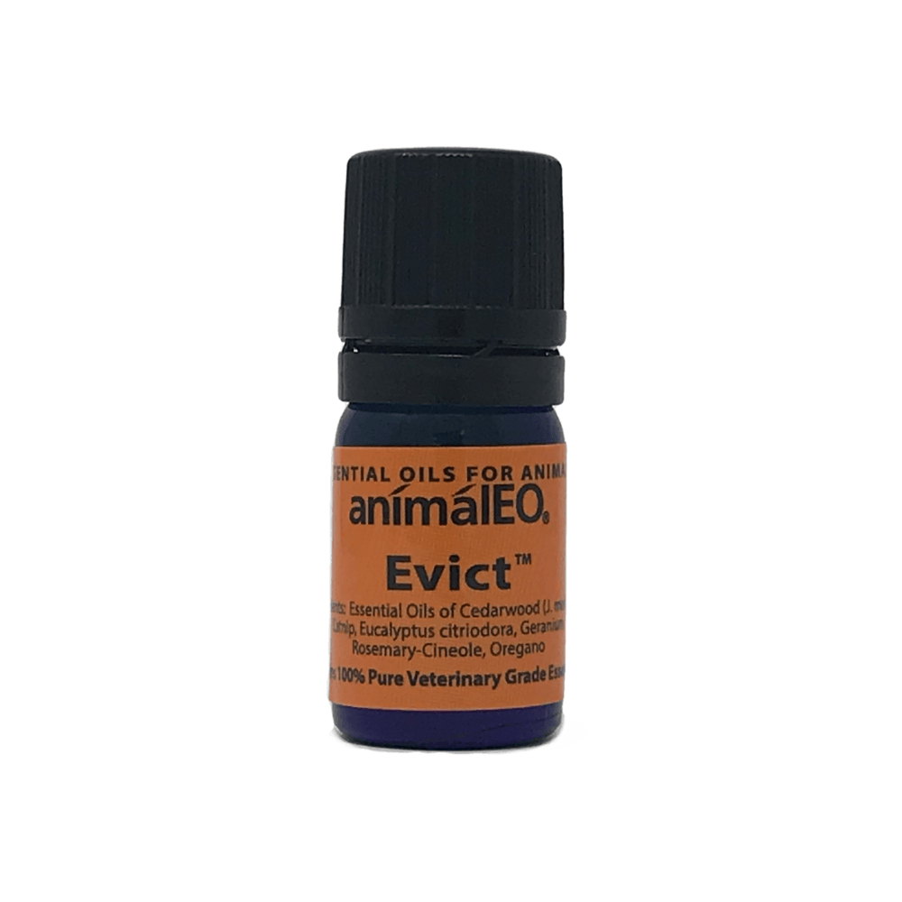 Evict NEAT a pet safe essential oil blend for Pest Control by animalEO®