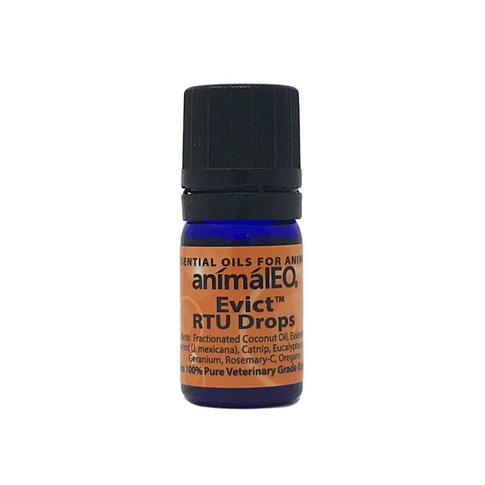 animalEO Essential Oil Blends by animalEO 5mL Evict RTU for Flea, Tick, and Insect Control by animalEO®